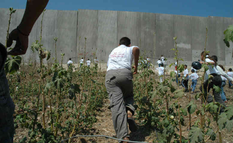 Palestinian children running towards the Israeli wall. Photo: Wikipedia