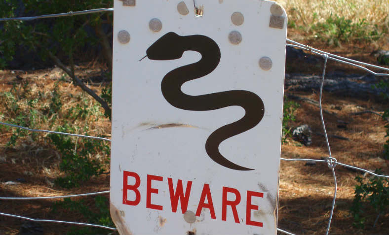 beware of snakes