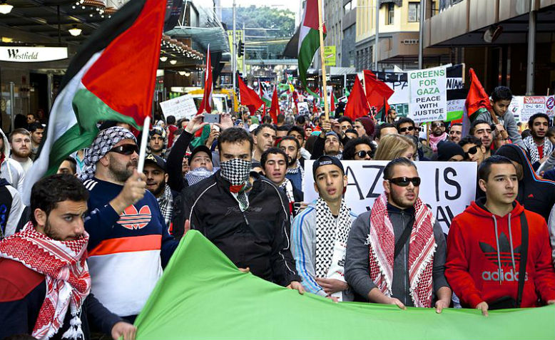 Rally for Palestine. Photo: Ali Martin / cropped from original / licensed under CC 2.0, linked at bottom of article