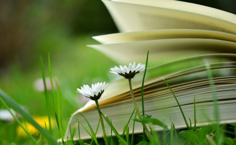 Book, grass