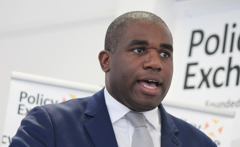 David Lammy