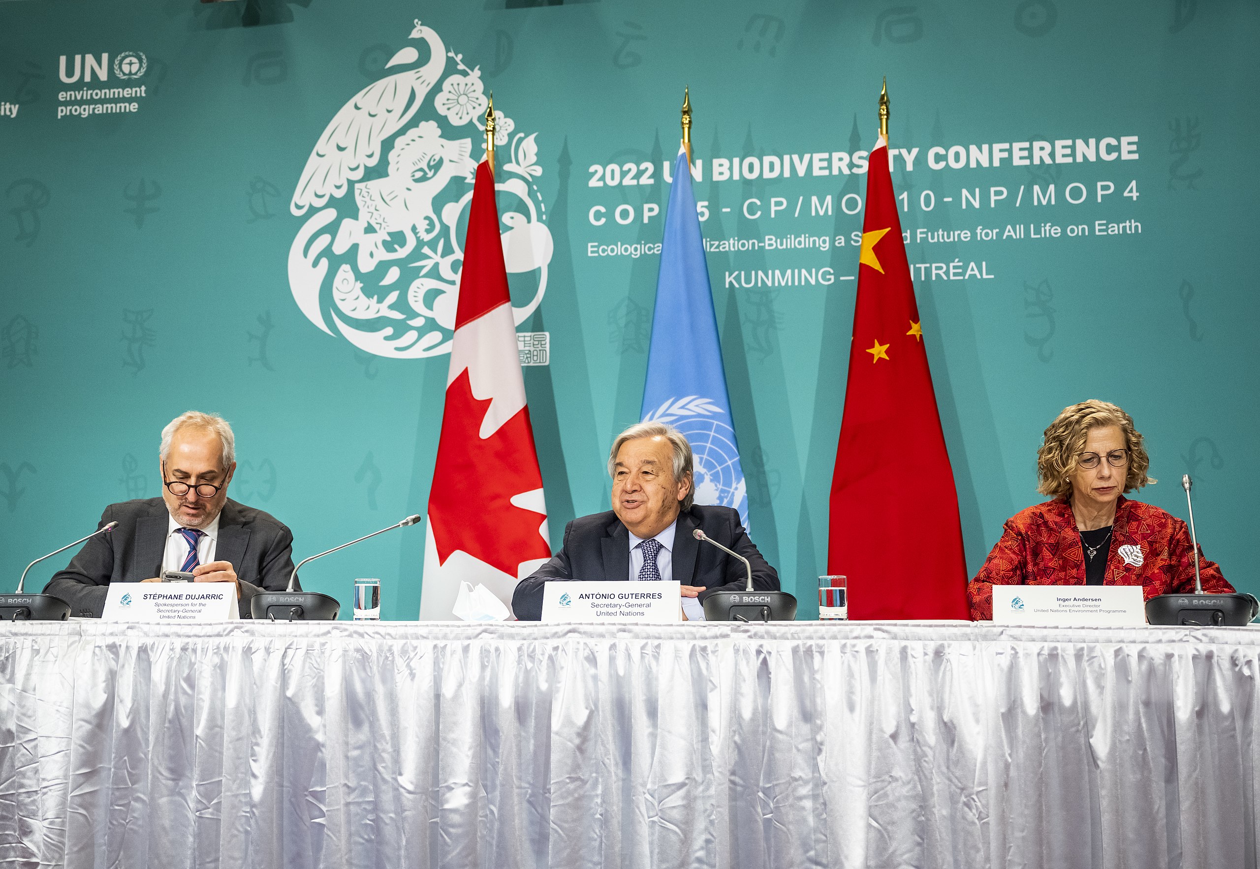 Cop15 Summit