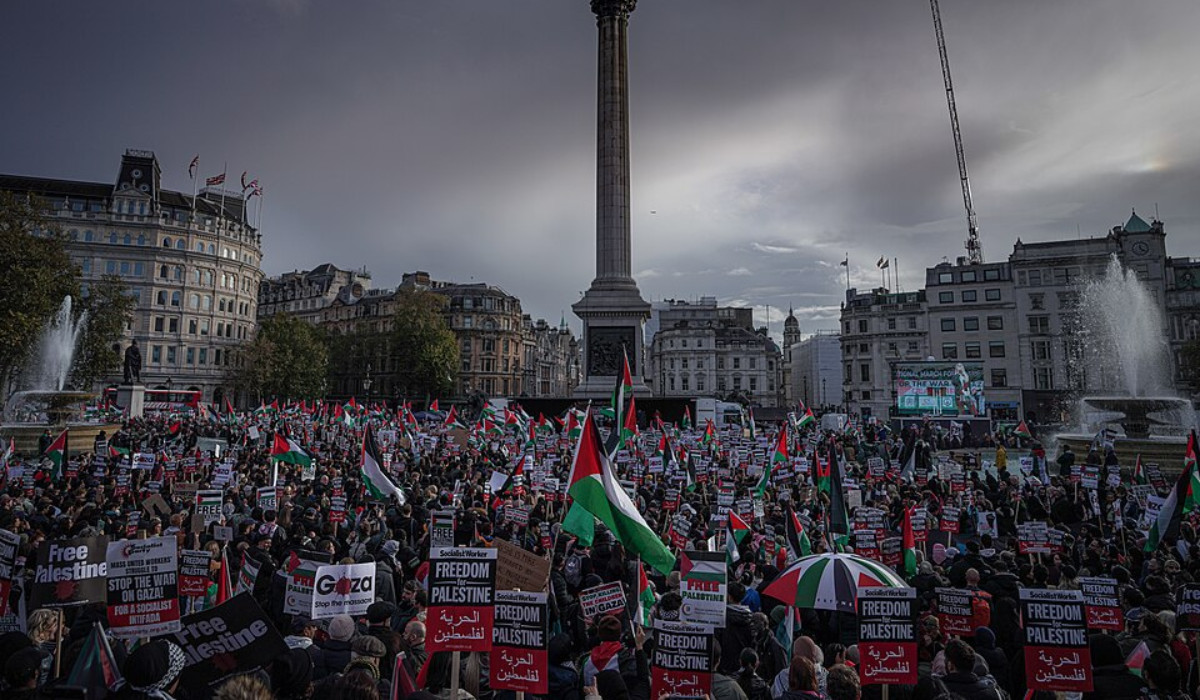 Ваша партия: упущенная возможность